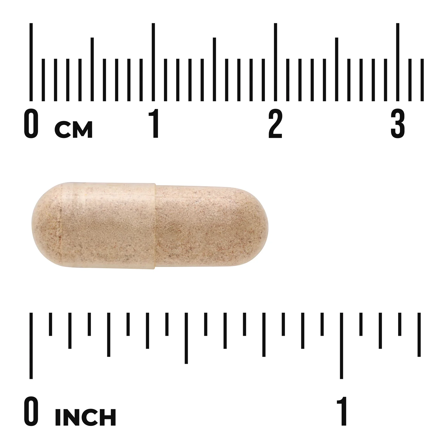 Ginkgo with Vinpocetine - Standardized - Image 3