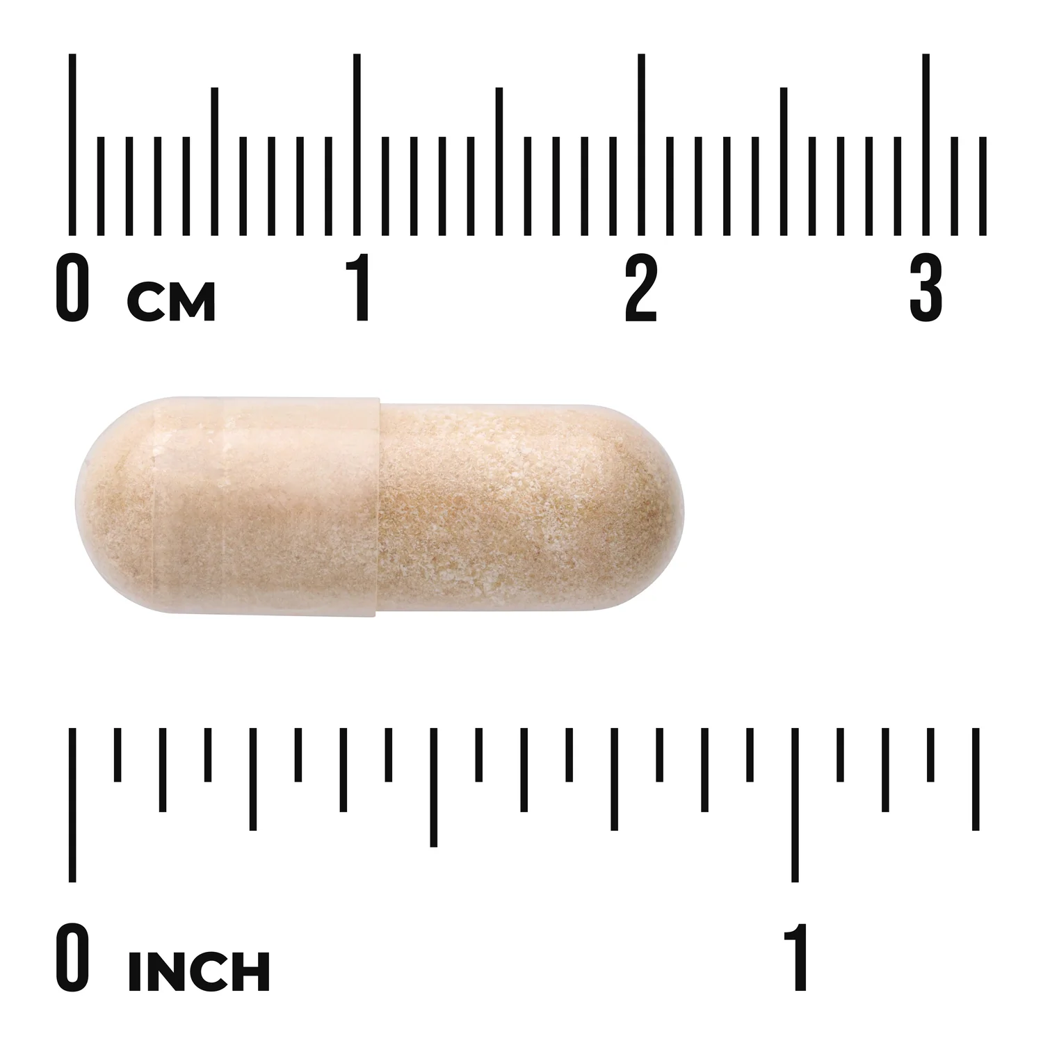 Horse Chestnut Extract - Standardized - Image 3