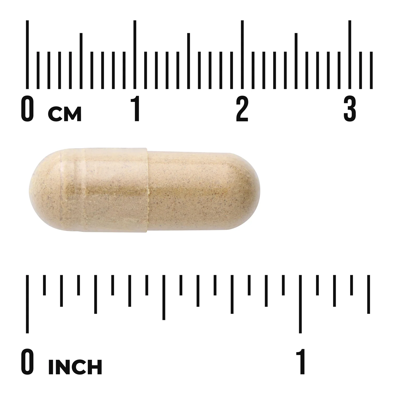 Milk Thistle - Features 80% Silymarin - Image 3