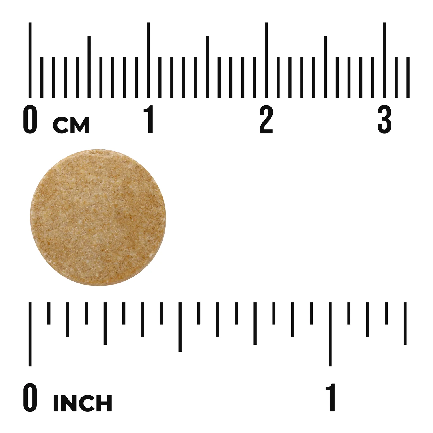 Horse Chestnut - Standardized - Image 3