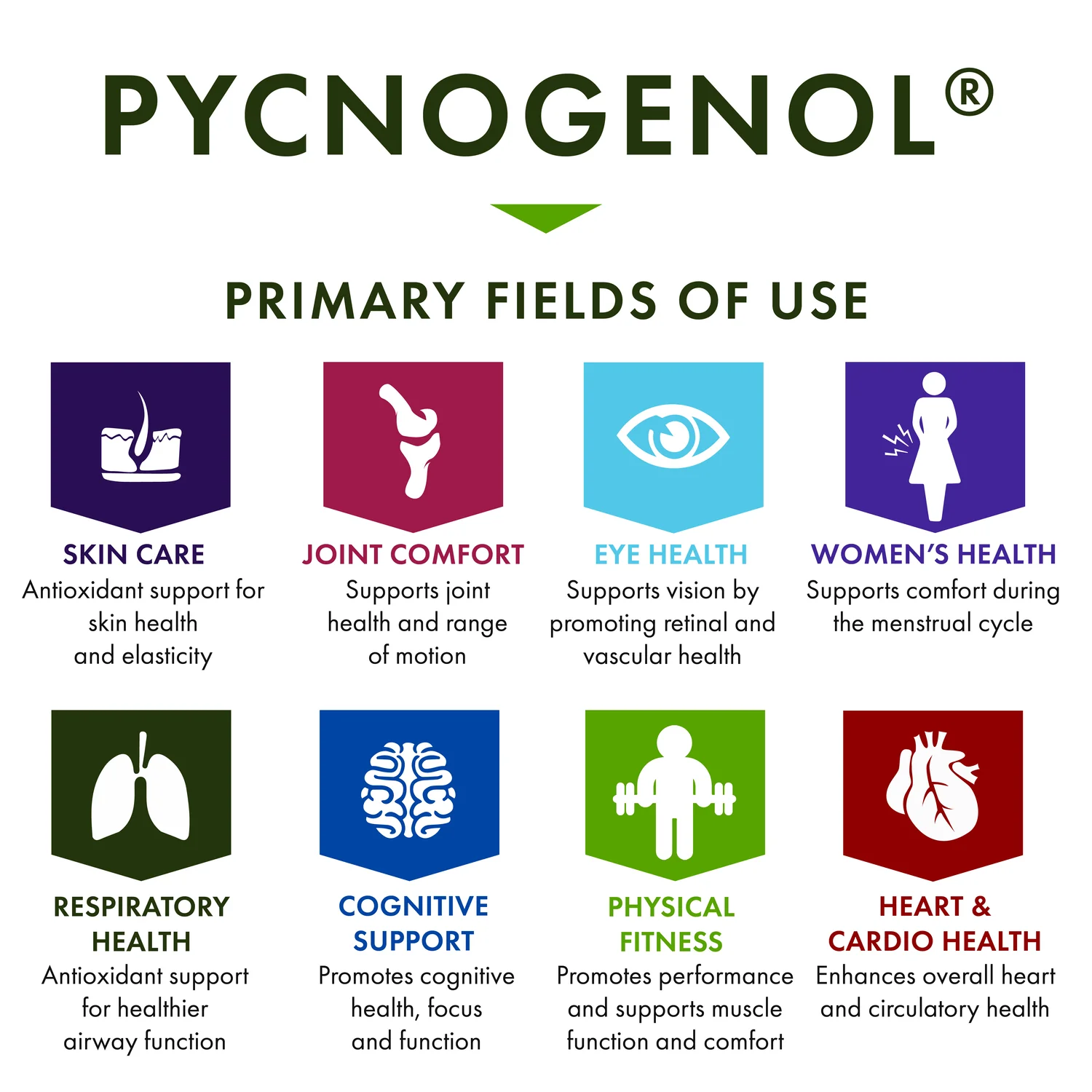 Pycnogenol - Super Strength - Image 5