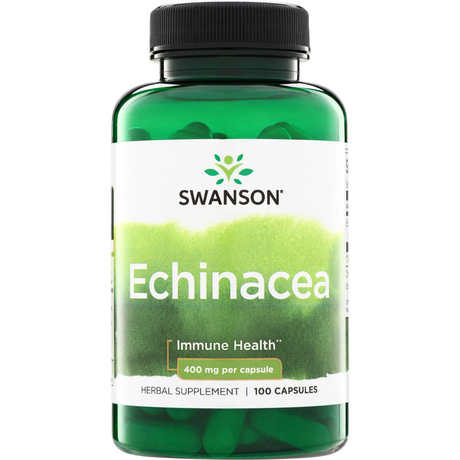 Echinacea - Image 2