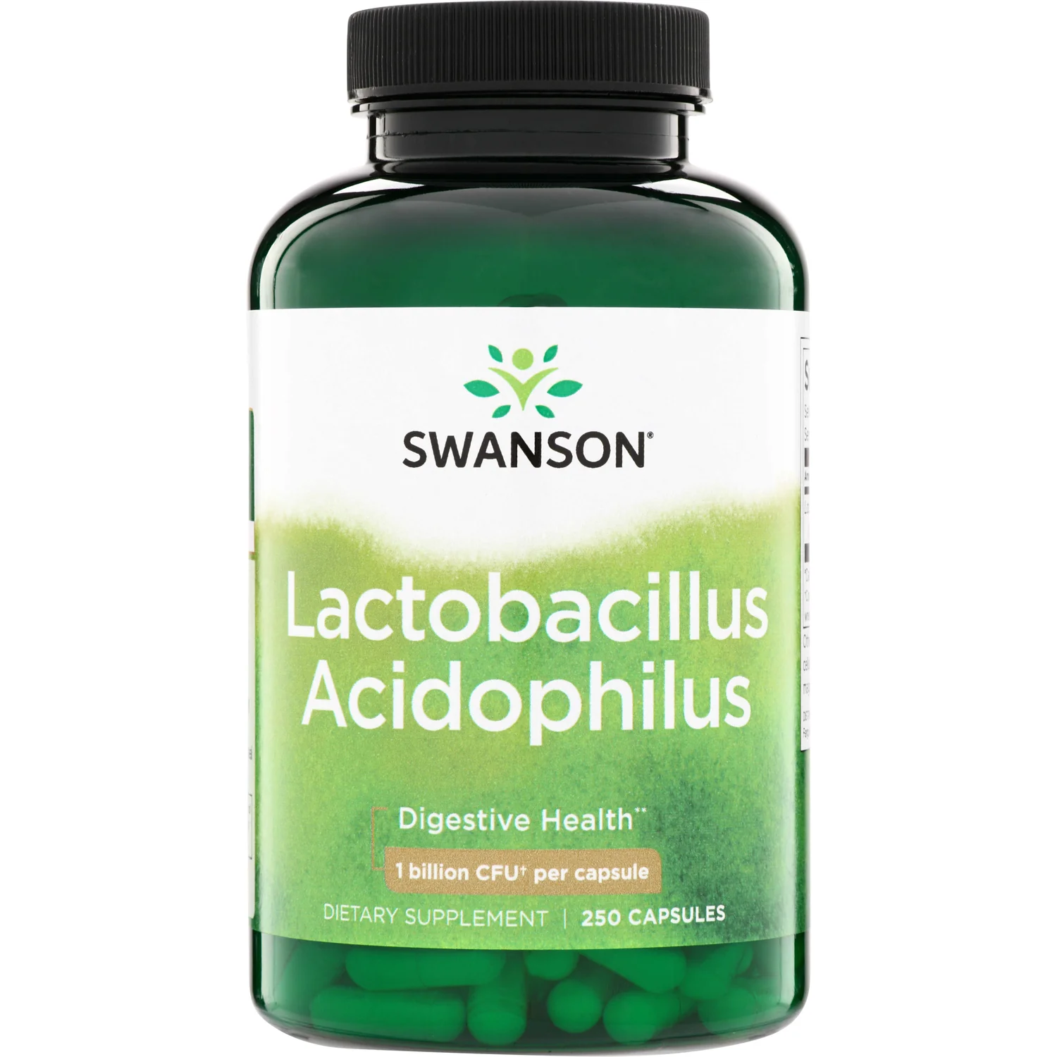 Lactobacillus Acidophilus - Image 2