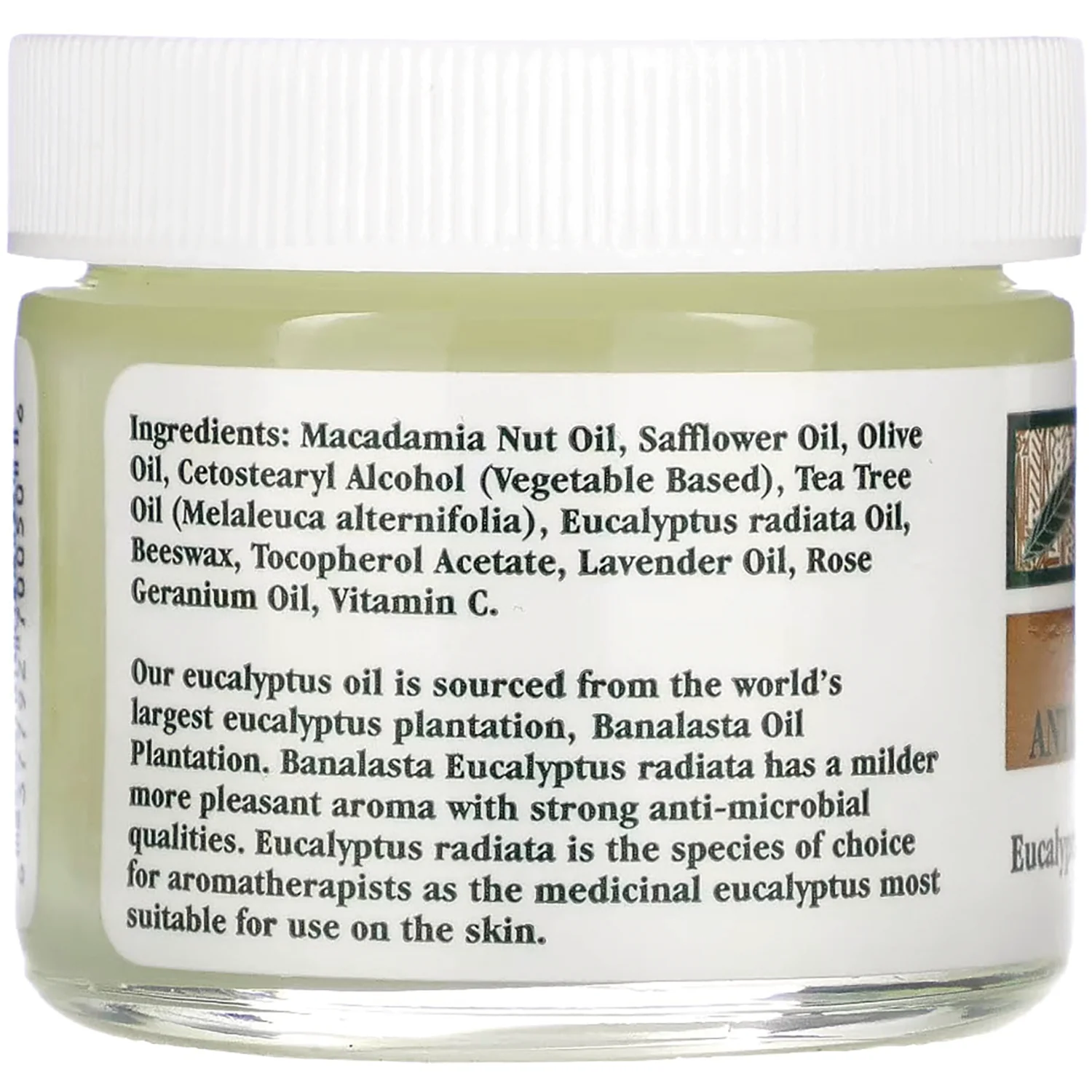 Tea Tree Antiseptic Ointment - Image 2