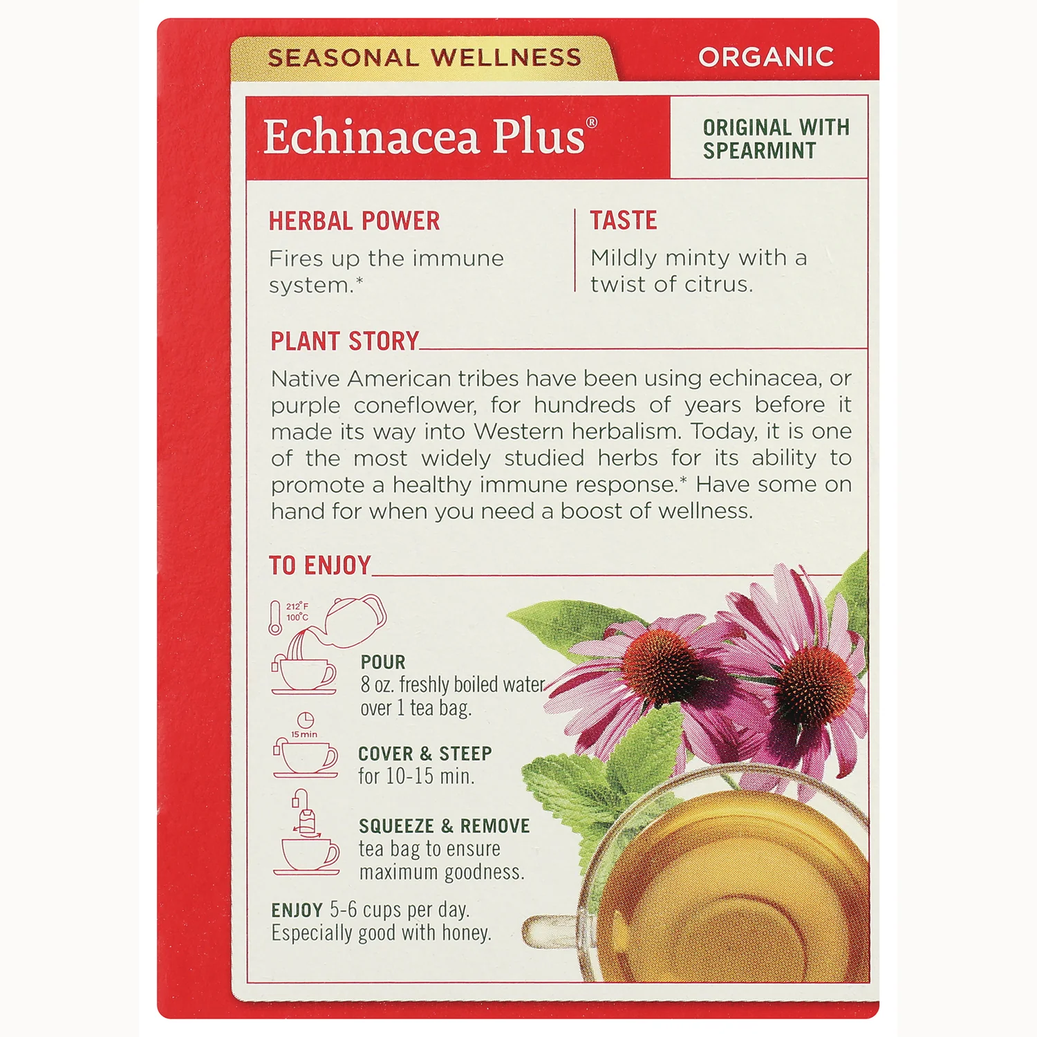 Organic Echinacea Plus Tea - Original with Spearmint - Image 3