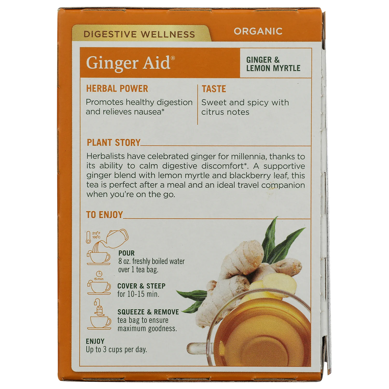 Organic Ginger Aid Tea - Image 3