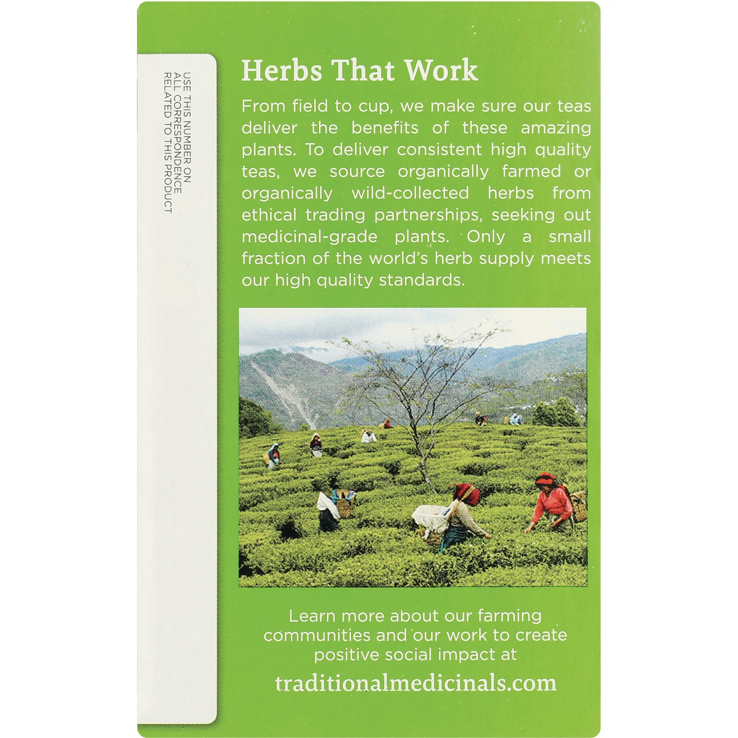 Organic Green Tea - Ginger - Image 4