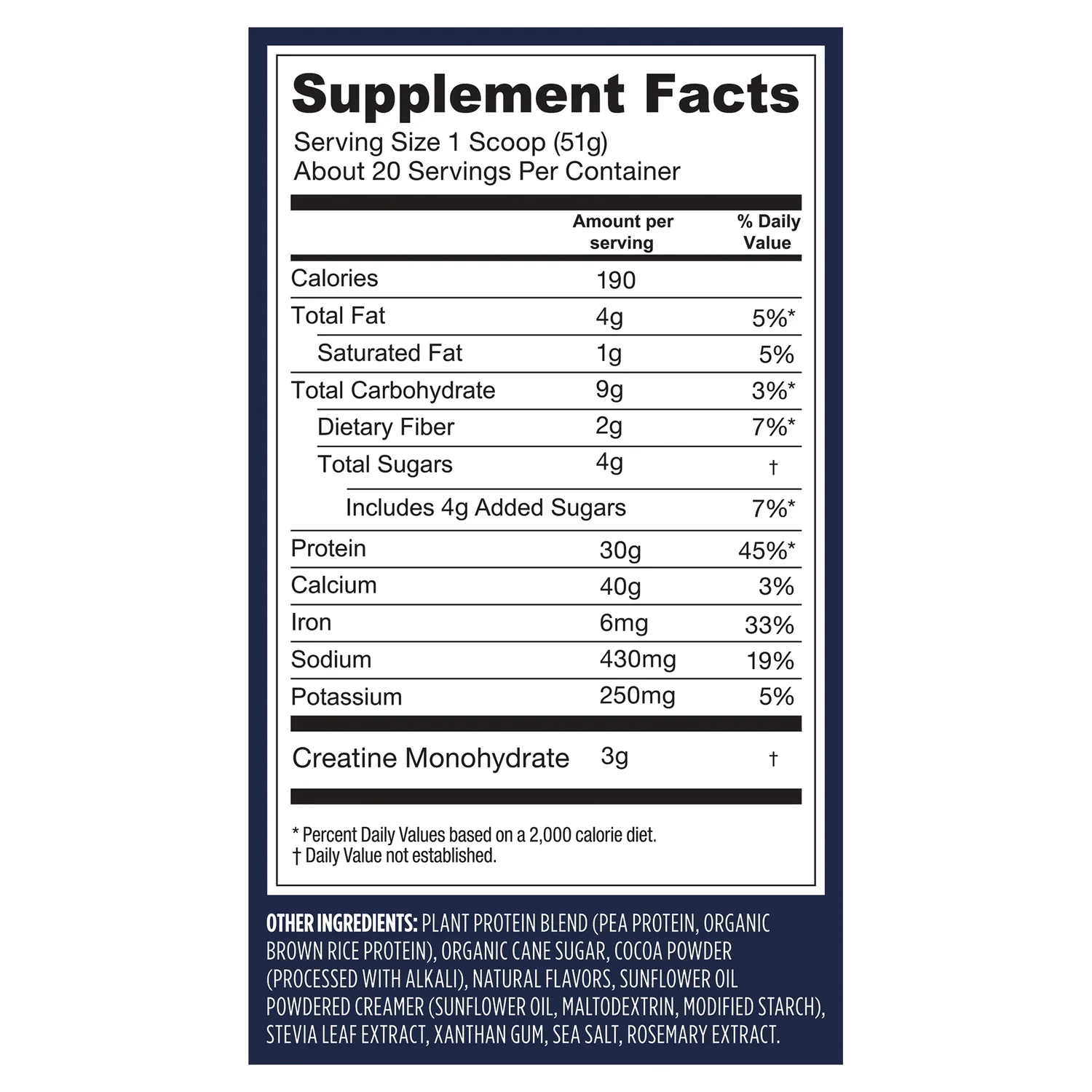 Protein + Creatine - Creamy Chocolate - Image 2
